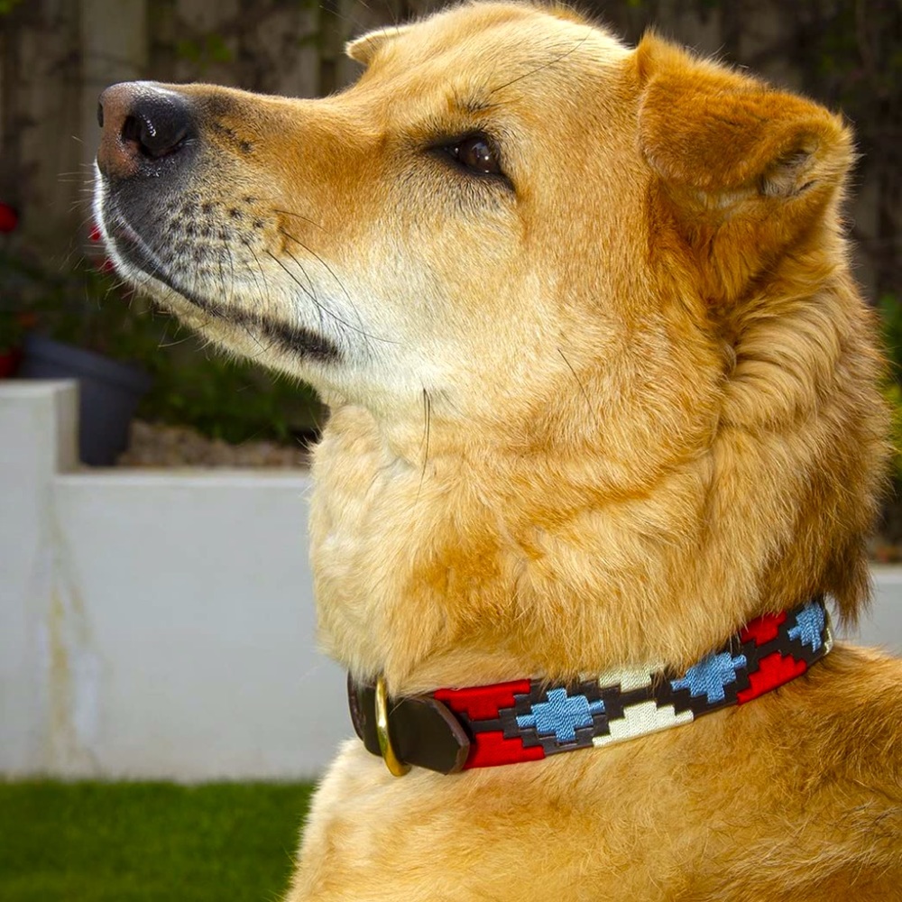 Leather Dog Collar | Genuine Adjustable Collar for Dogs